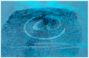 DPW Electronic FBI Fingerprinting Information
